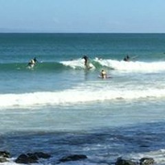 Captain Tricko & his Cigar Box Guitars