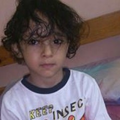 Alaa Sayeed