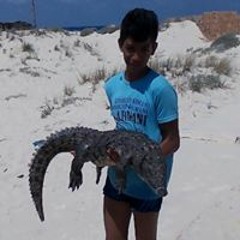 مهرجنات