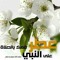aboudi