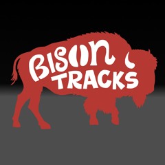 Bison Tracks