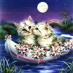 اسماء الشريف