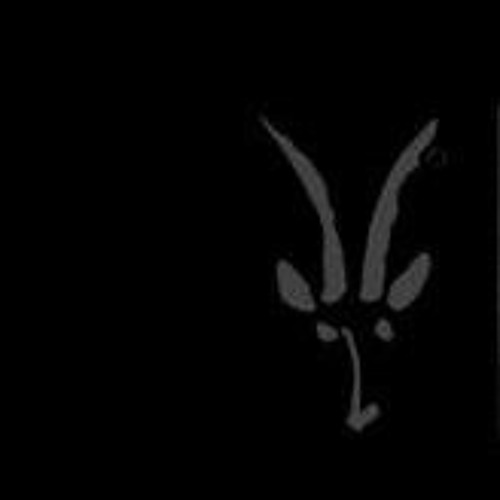 Ivory, Wizard - Jonny 5 - Original Mix