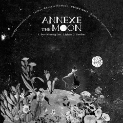 Annexe The Moon