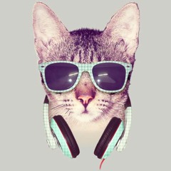 cool cat