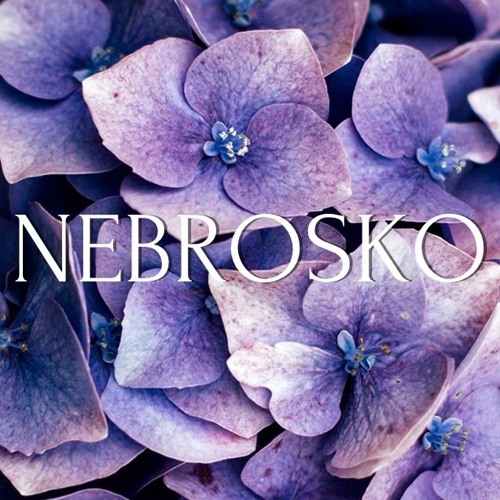 NEBROSKO’s avatar