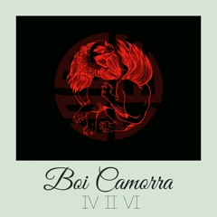 Boi Camorra