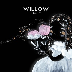 thisiswillow