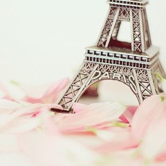 ‫ملكه الليل‬‎