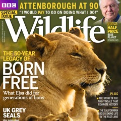 BBC Wildlife Magazine