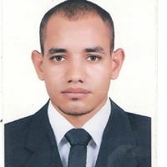 Mohamed Hassan
