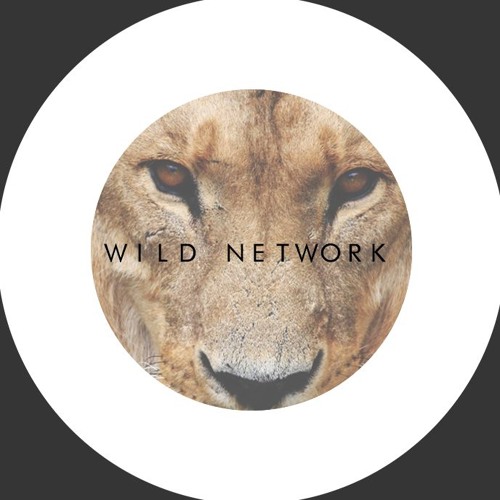 Wild Network’s avatar