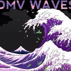 DMV WAVES