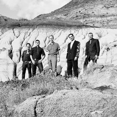 Petunia & The Vipers