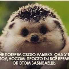 Зайцев Александр