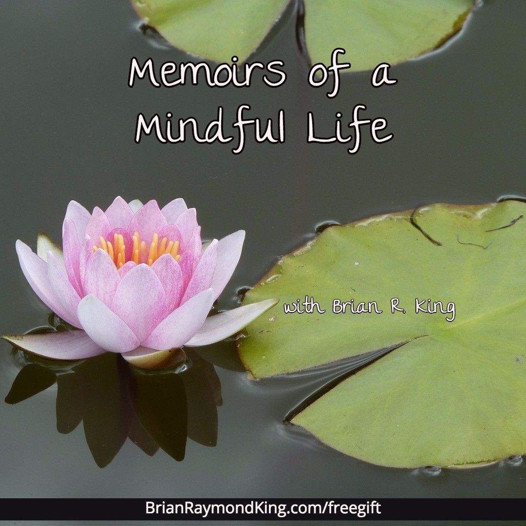 Memoirs of a Mindful Life