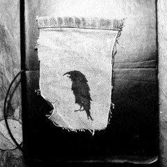 CATHOLIC ABUSE APOLOGY