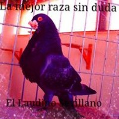 Fernando Rendón Luque