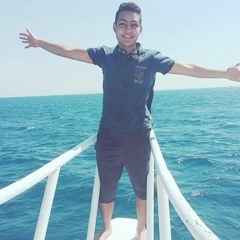 Mahmoud TagEldein