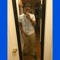 youngmoney017