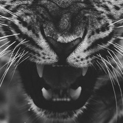 Ninelives