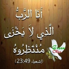 Ashraf Mageed