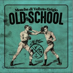 Mosche di Velluto Grigio