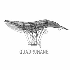 Quadrumane