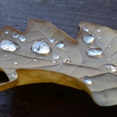 British hiphop and remixes