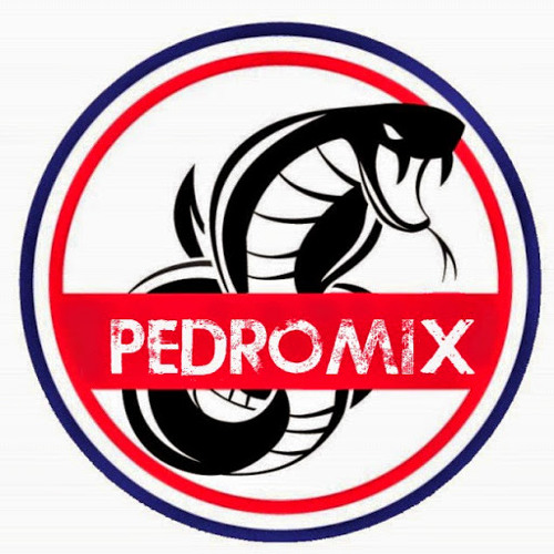 pedromix71’s avatar