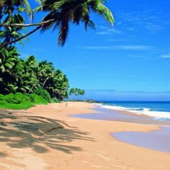 Beach Life