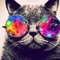 djkalwin1208
