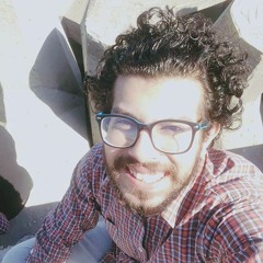 Mohamed Amer 22