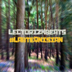 LECTORIZMBEATS