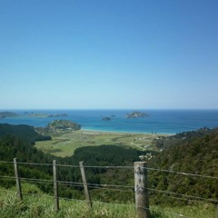 Deanne June Chiconne Kemp