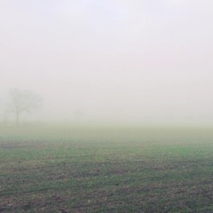 eerie.irie.