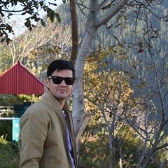 Ali Ahmed