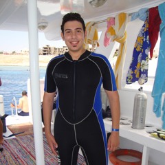 Ahmed Elghandour