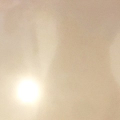 Arrange (dollar drinks)