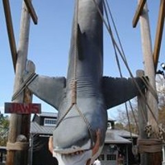 Carlos Manuel Ricardes