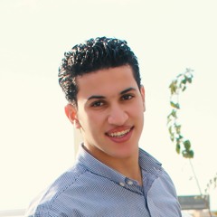 Mohamed Abd Elftah