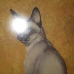 Translucent's Presence