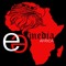 Eagle Eye Media Africa