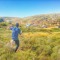 Shlomi David