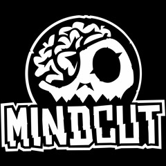 MINDCUT MUSIC / LIGN RECORDS