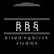Bleeding Black Studios