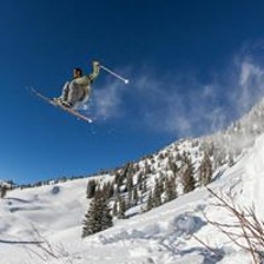 spencerharkins