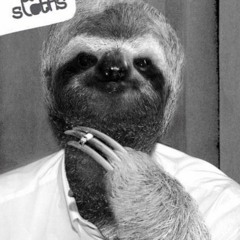 ArcticSloth