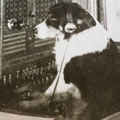 Stream Instrumental 1 (A Tribe Called Quest 1nce Again Acapella Showcase) by Incogn?to