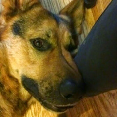 Герман Городнёв